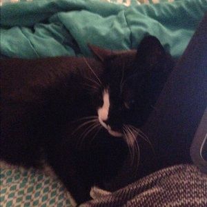 Meet your Posher, Debra